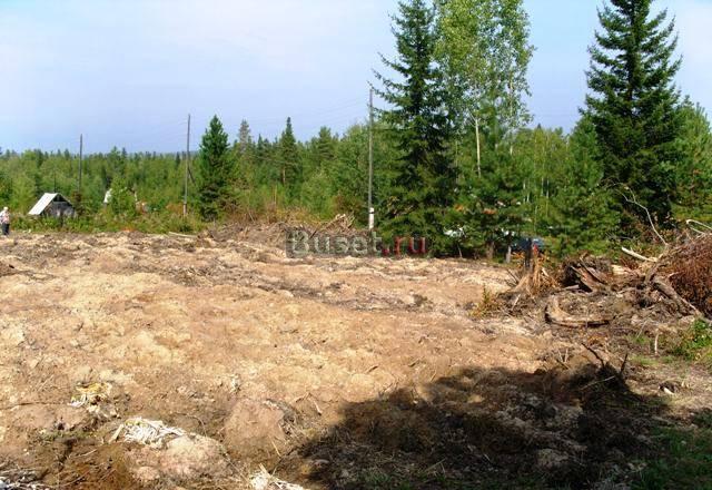 Участок 21 км Голоустного тракта Иркутск