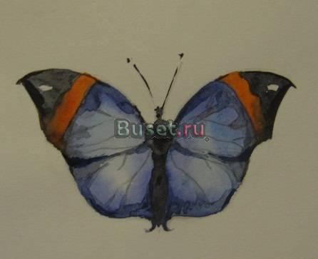 Серия "Бабочки" Москва