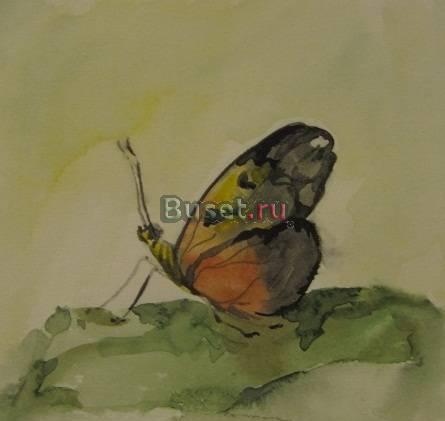 Серия "Бабочки" Москва