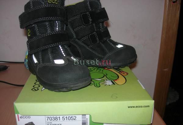 Зимние сапожки ecco Москва