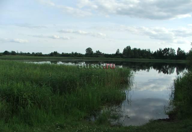 Хороший дом и участок 40 соток, лес, водоёмы Опочка