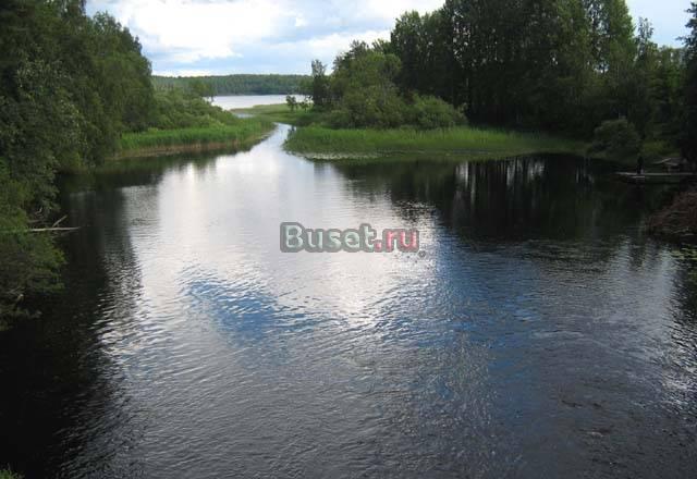 Дом с видом на небольшое озеро, на берегу, дешево Пустошка