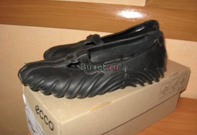 Ecco Санкт-Петербург