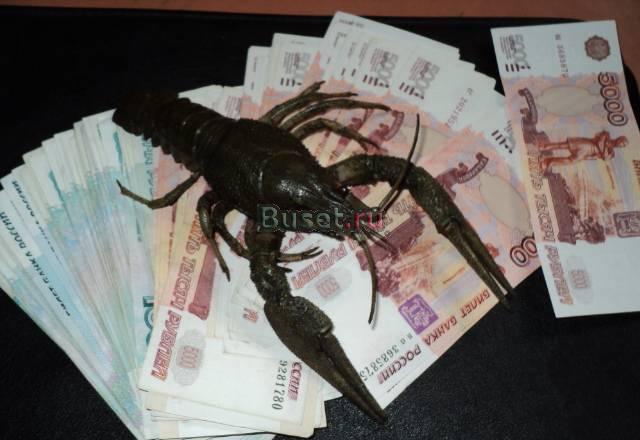 Раки живые Санкт-Петербург