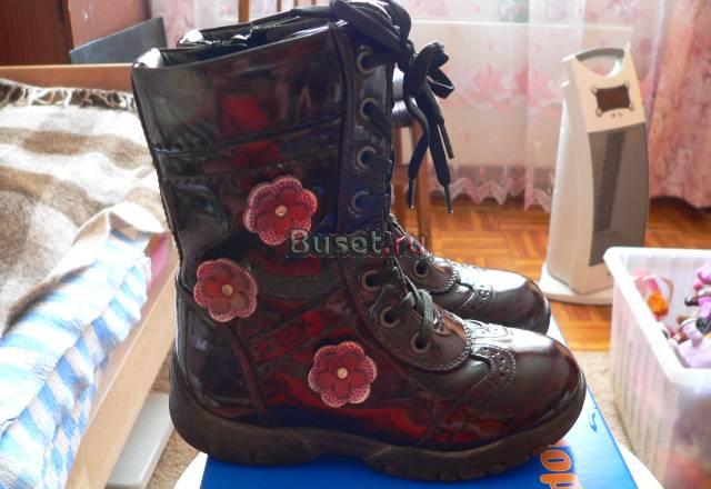 Осенние сапоги Москва