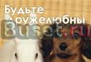 Куплю крепкий дом, для пмж, с зем. участком от 6 с Архипо-Осиповка