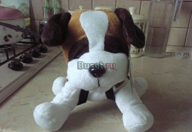 "Собачка на поводке" Москва