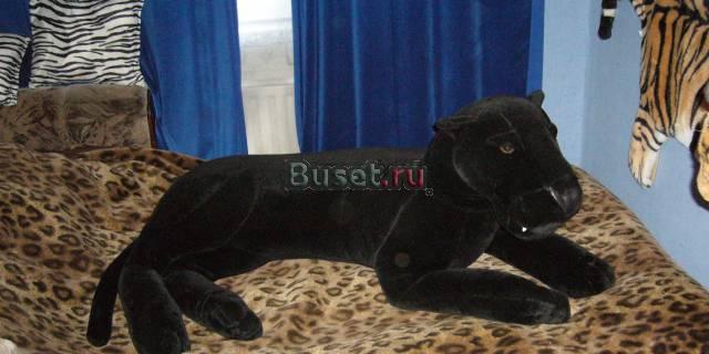 Мягкая игрушка Санкт-Петербург