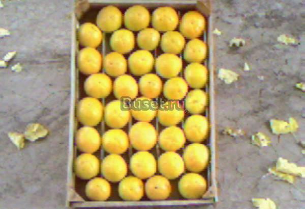 Гранатовый сок,овощи,зелен,продукты питания.  Санкт-Петербург