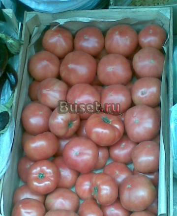 Гранатовый сок,овощи,зелен,продукты питания Санкт-Петербург