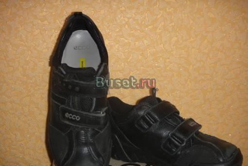 Экко р.33 Москва