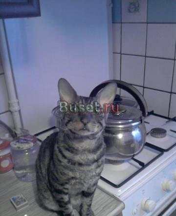 Вязка Нижний Новгород