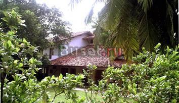 Аренда жилья на Шри-Ланке Новосибирск