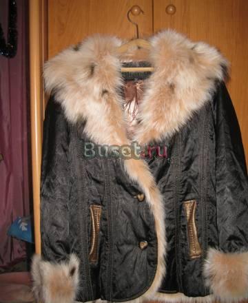 Пихора Санкт-Петербург