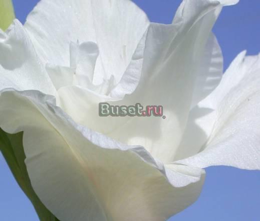 Убираться надо уметь Москва