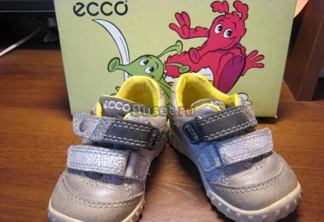 Кроссовки ecco р.19 Москва