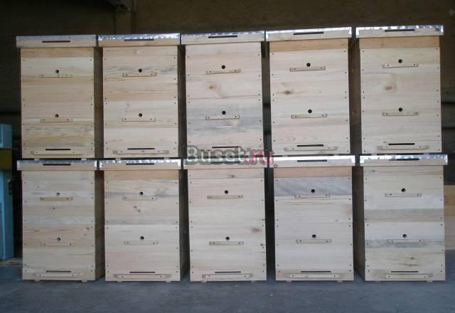 Пчеловоды Саратов