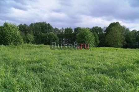 Участок 25 соток, первая линия Правдинского озера Выборг