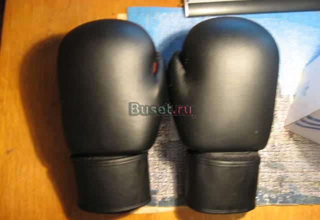 Боксерские перчатки, 10oz Москва