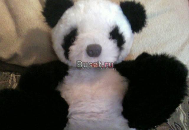 Мягкие игрушки Москва