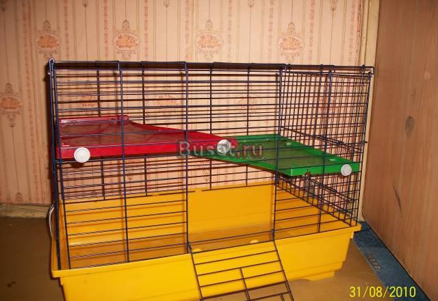 Клетка Москва