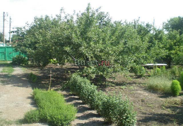 Продам дом в пригороде Таганрог