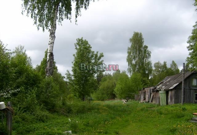 Участок в Волочаевке 25 соток Выборг