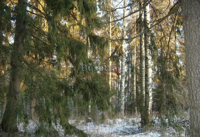 П. Матросово, участок 10 соток, ижс Выборг