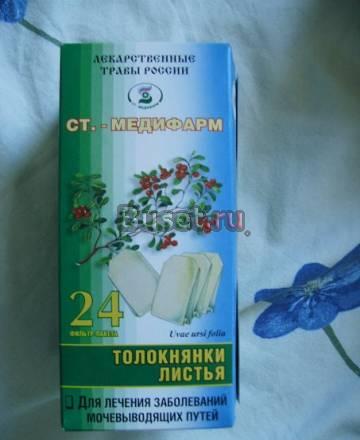 Листья толокнянки Санкт-Петербург