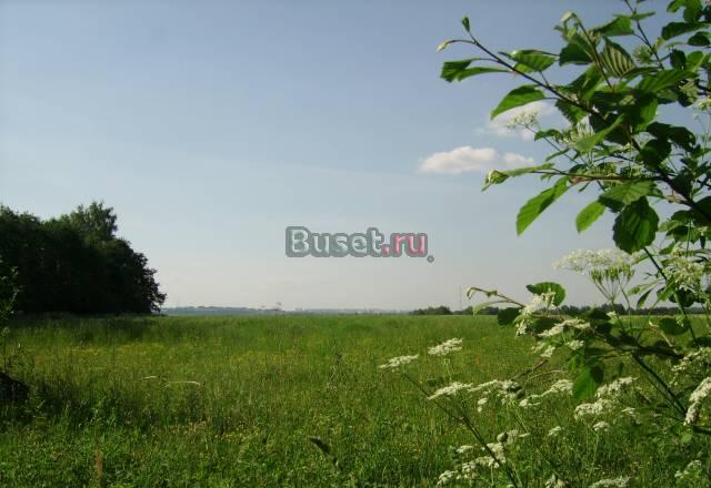 Лекарственные растения Ярославль