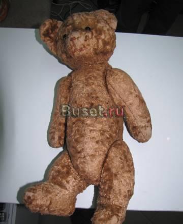 Медведь Санкт-Петербург