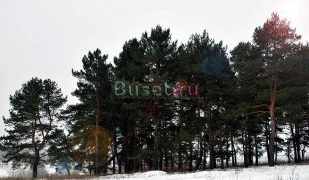 Участок 11,9 соток без подряда. ижс, прописка Москва