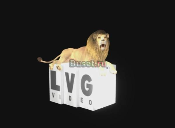 Видеоуслуги Москва