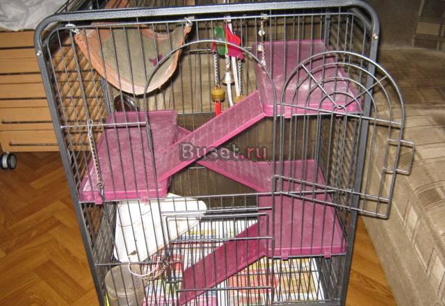 Клетки Москва