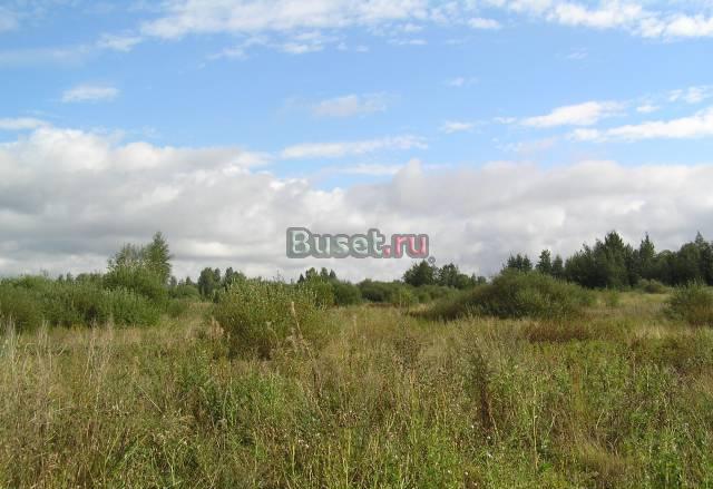 Ижс, участок 12 соток, Красное село Санкт-Петербург