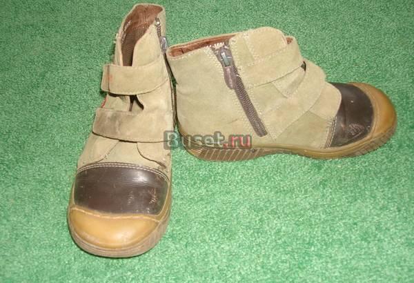 Антилопа Москва