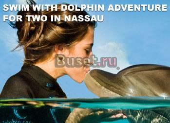 Используйте ваучер 500 для оплаты проживания Санкт-Петербург