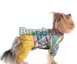 Дождевики Санкт-Петербург