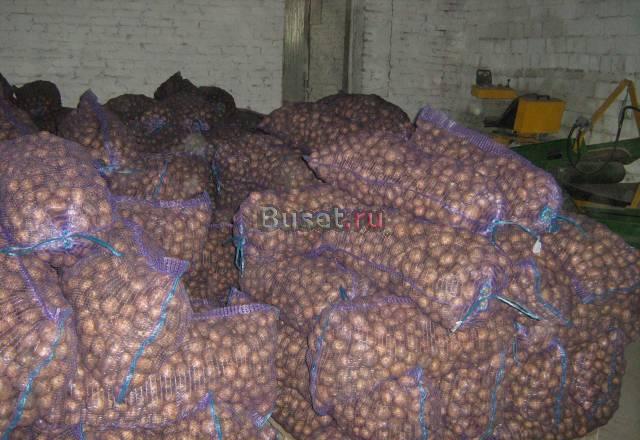 Продам картофель Казань