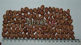 Прямые поставки   арахис  из Аргентины Москва