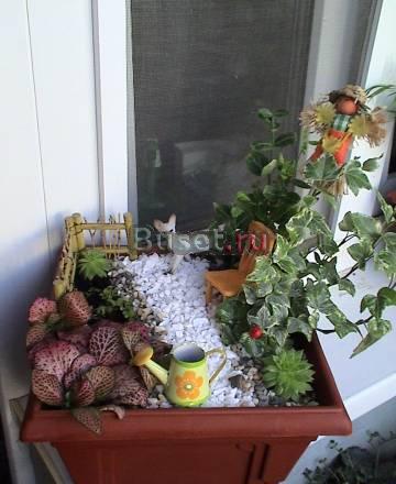 Миниатюрный садик Уютный уголок Москва