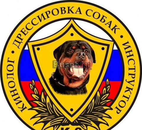 Дрессировка собак Москва