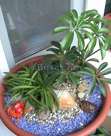 Миниатюрный садик Остров Москва