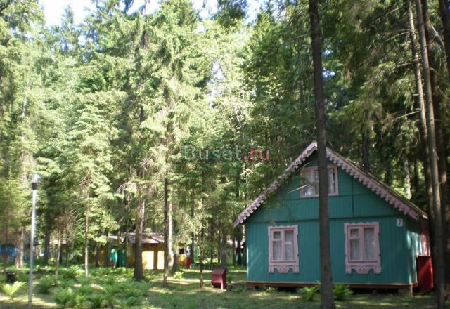 Отдых в подмосковье на турбазе (80 км от МКАД) за Москва