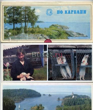Видовые открытки различных городов и стран Санкт-Петербург