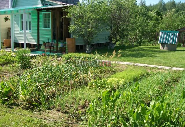 Дача 70 км от МКАД Киевское шоссе Москва