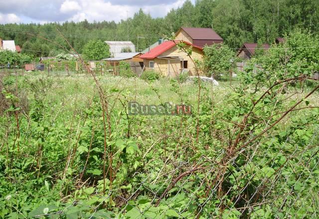 5 соток в д. Вороново, Подольский район Подольск