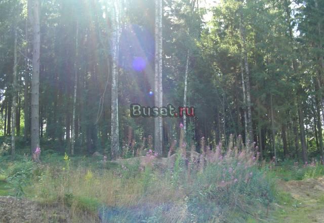 Участок в п Рощино Выб-го р-на ло Санкт-Петербург