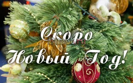 Сдам коттеджи на новый год без посредников Казань