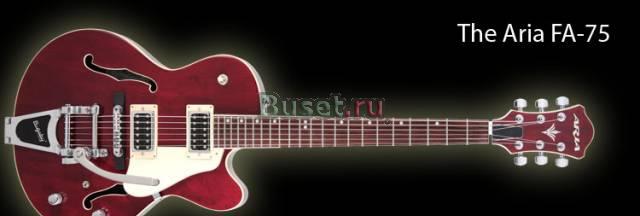 Полуакустика Aria FA75 - меньше полцены Москва